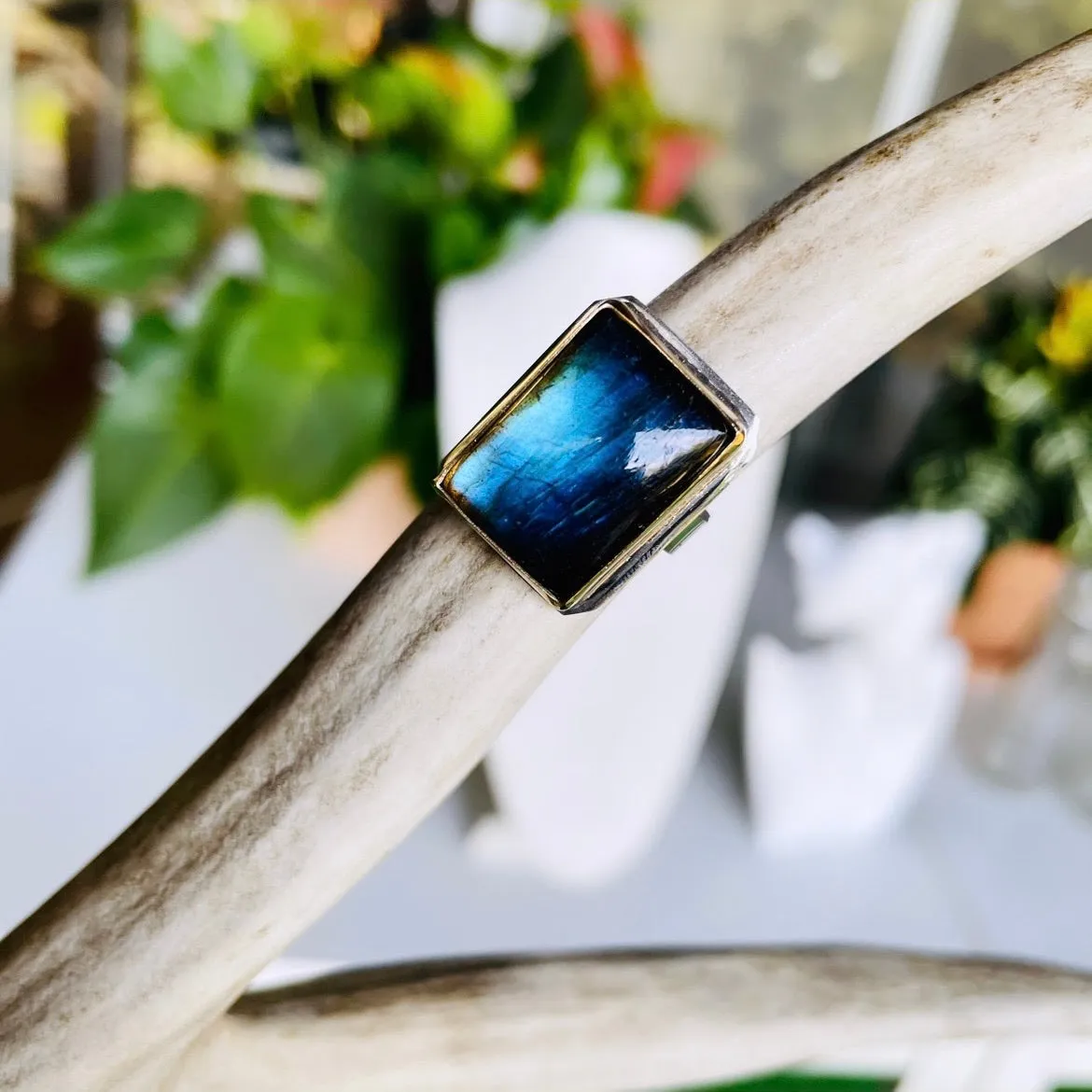 Midnight Labradorite ring