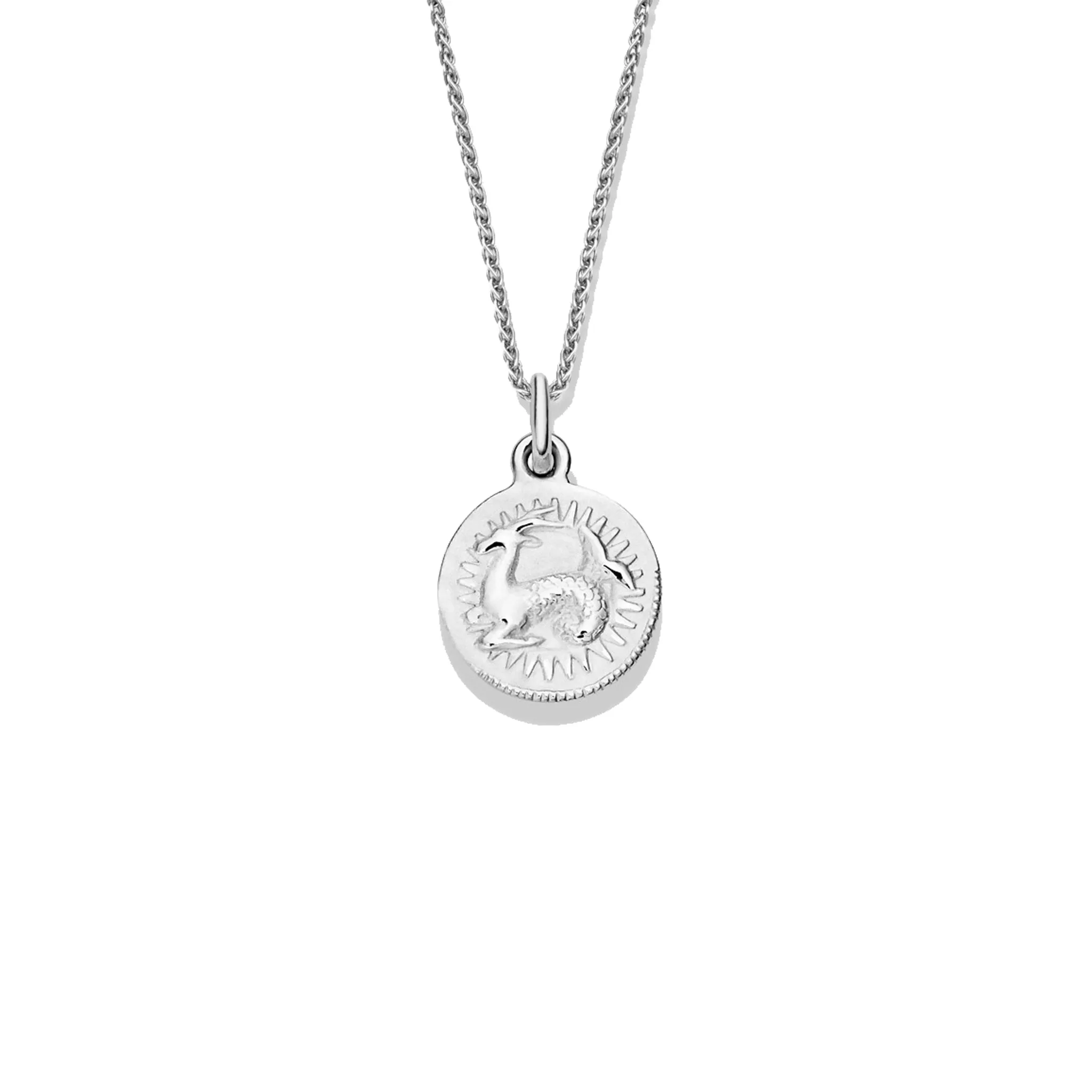 Zodiac Capricorn Necklace Pendant Silver